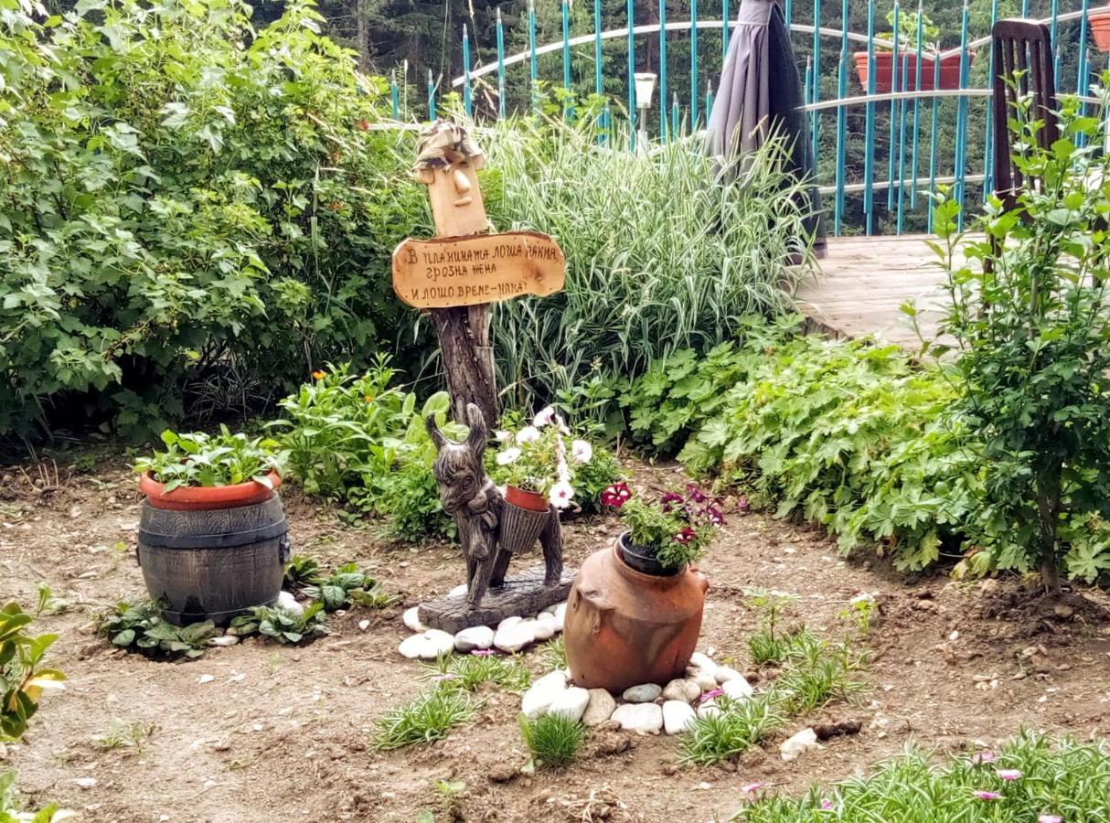 Guest House Milka Jagodina Zewnętrze zdjęcie