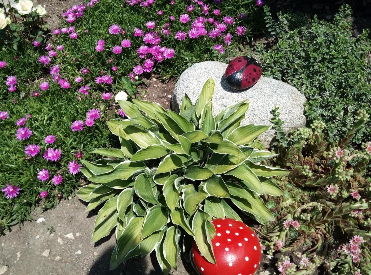 Guest House Milka Jagodina Zewnętrze zdjęcie