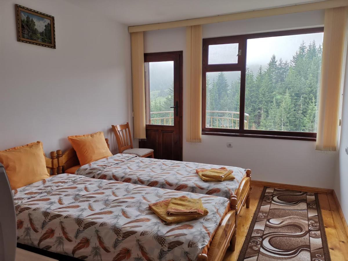 Guest House Milka Jagodina Zewnętrze zdjęcie