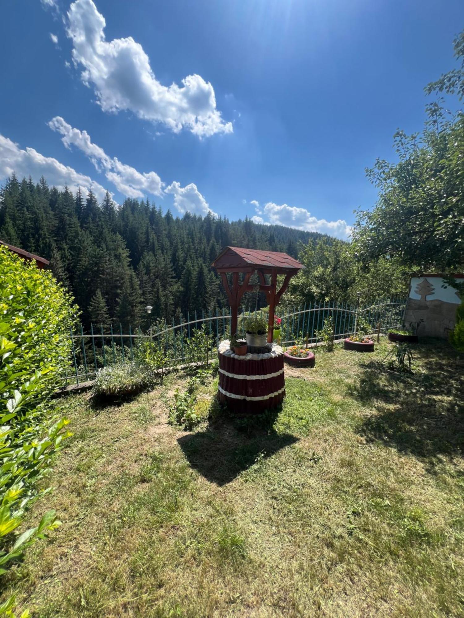 Guest House Milka Jagodina Zewnętrze zdjęcie